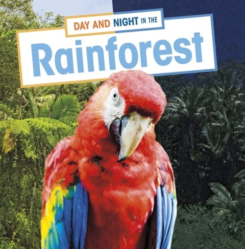 Day and Night in the Rainforest (Paperback)