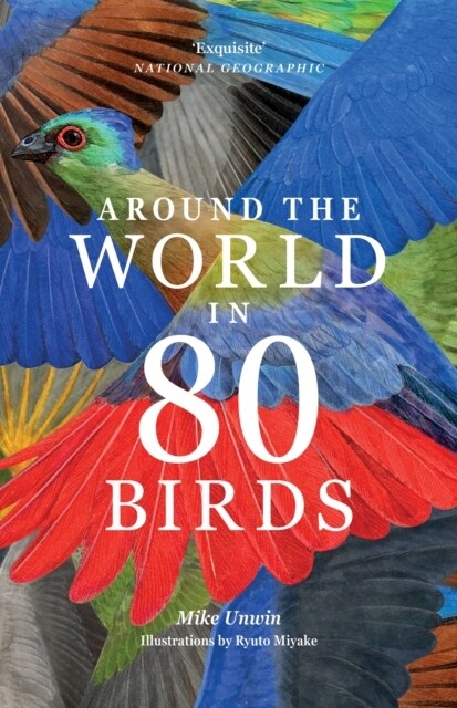 Around the World in 80 Birds (Paperback)