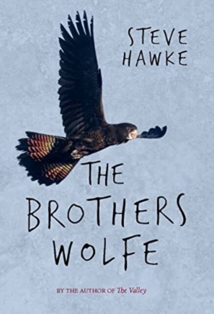 The Brothers Wolfe (Paperback)