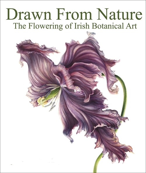 Drawn From Nature : The Flowering of Irish Botanical Art (Hardcover)