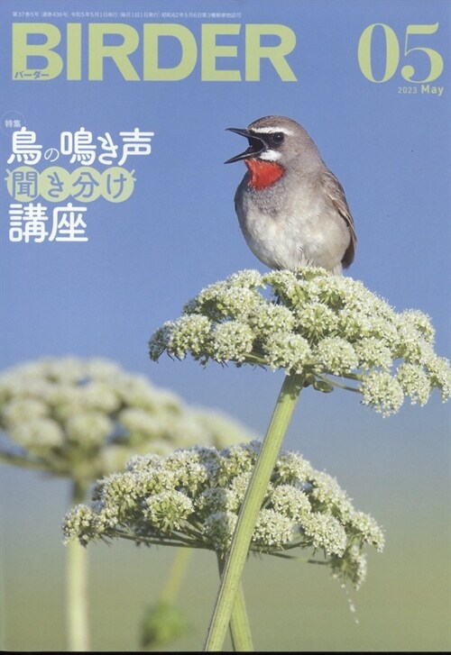 BIRDER(バ-ダ-) 2023年 5月號