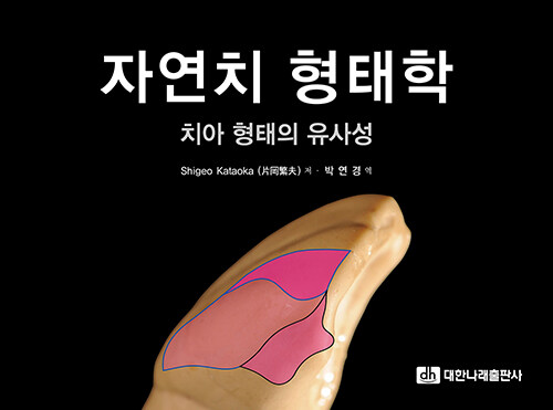 자연치 형태학