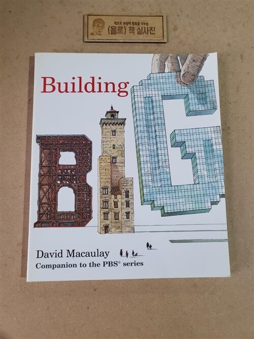 [중고] Building Big (Paperback, Reprint)