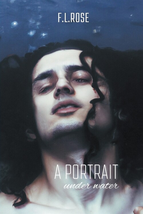 A Portrait Under Water (Paperback)