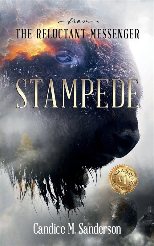 From the Reluctant Messenger: Stampede (Paperback)