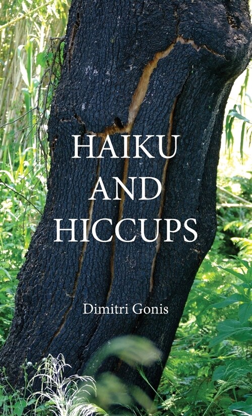 Haiku and Hiccups (Hardcover)