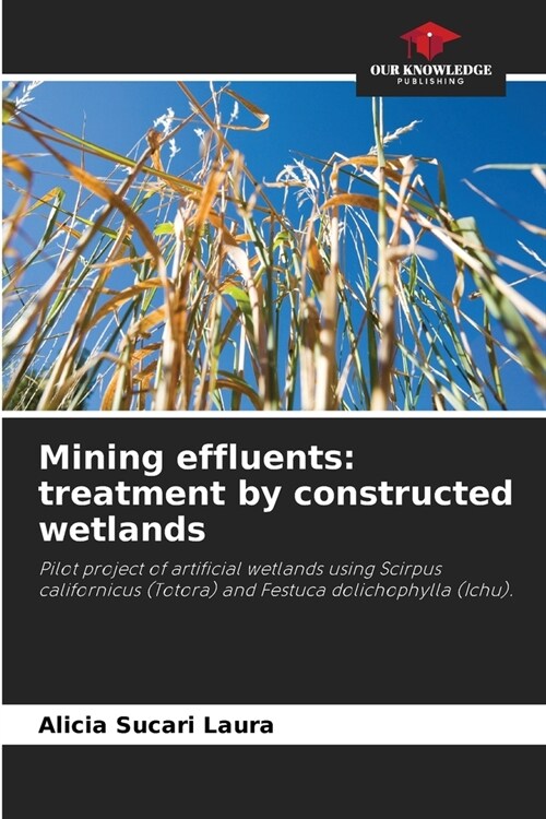 Mining effluents: treatment by constructed wetlands (Paperback)