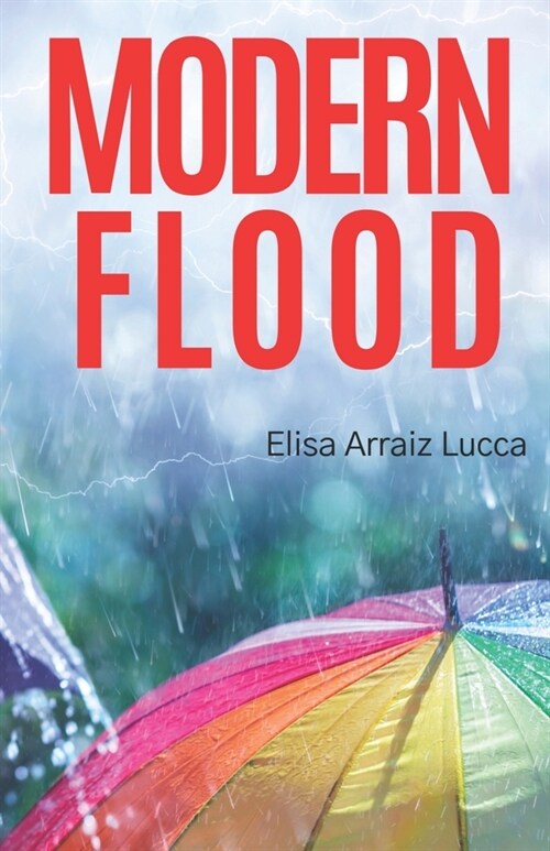 Modern Flood (Paperback)