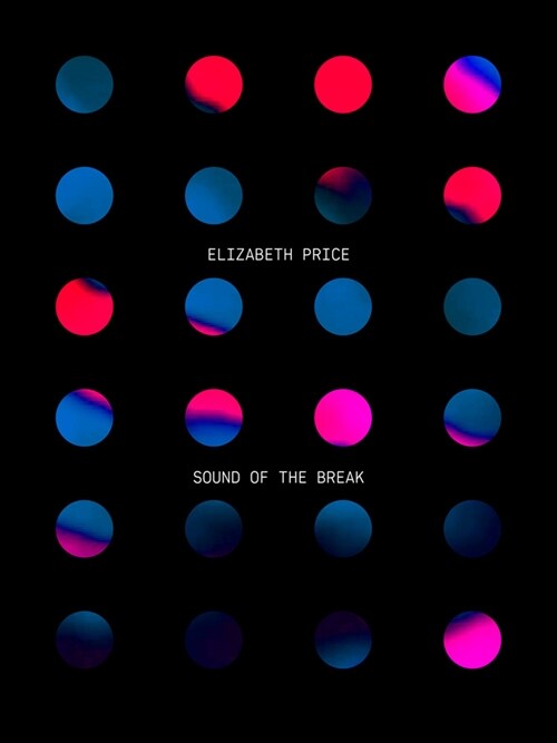 Elizabeth Price: Sound of the Break (Paperback)