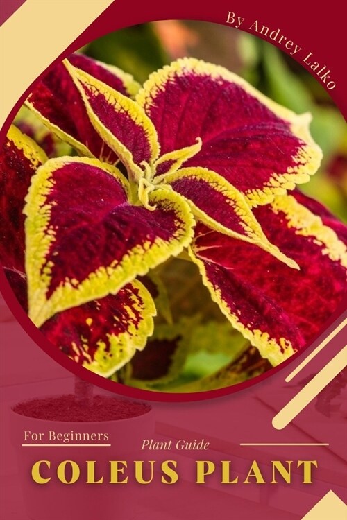 Coleus Plant: Plant Guide (Paperback)