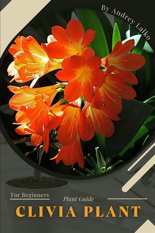 Clivia Plant: Plant Guide (Paperback)