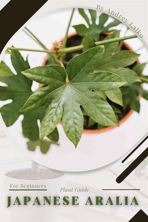 Japanese Aralia: Plant Guide (Paperback)