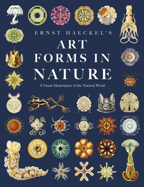 Ernst Haeckels Art Forms in Nature: A Visual Masterpiece of the Natural World (Paperback, Art Meets Scien)