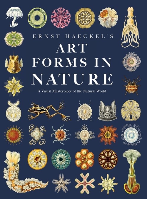 Ernst Haeckels Art Forms in Nature: A Visual Masterpiece of the Natural World (Hardcover, Art Meets Scien)