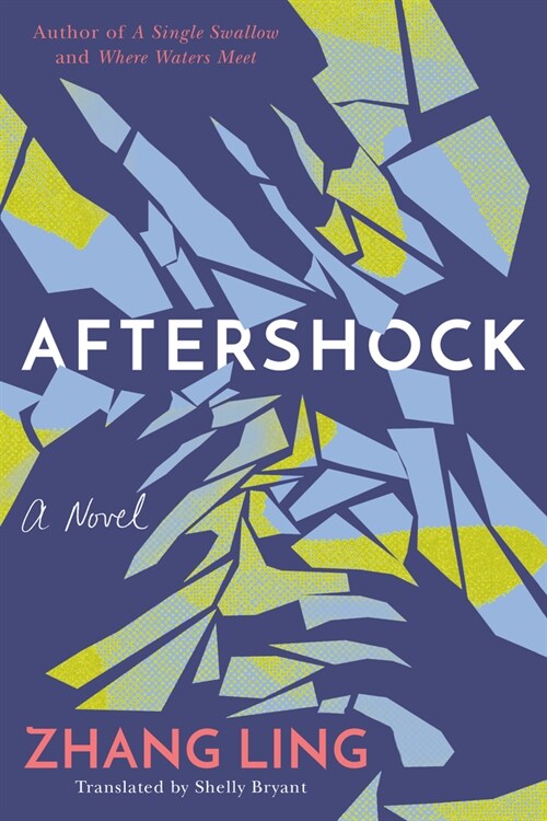 Aftershock (Paperback)