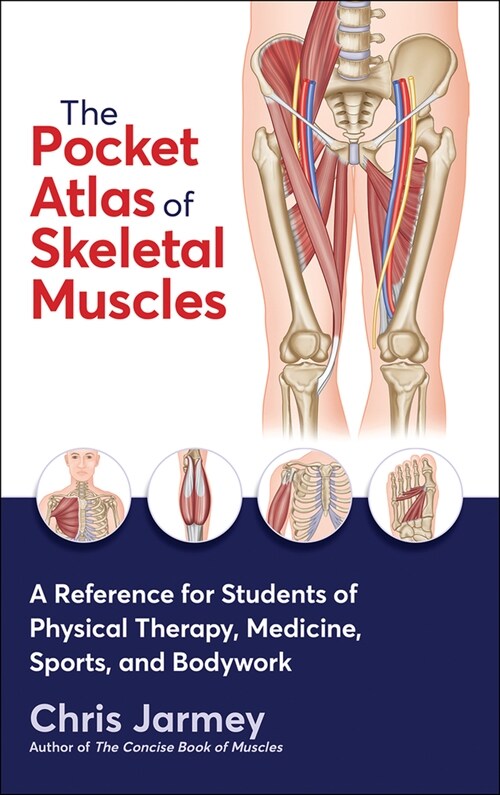 The Pocket Atlas of Skeletal Muscles: A Reference for Students of Physical Therapy, Medicine, Sports, and Bodywork (Paperback)