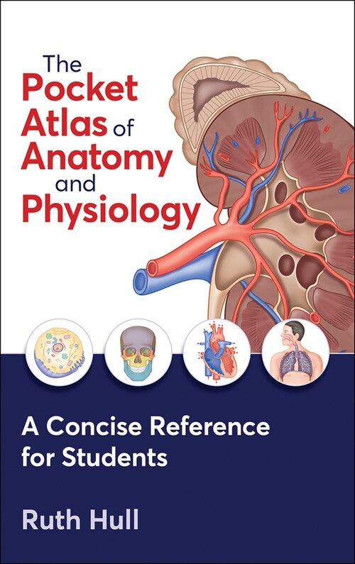 The Pocket Atlas of Anatomy and Physiology (Paperback)