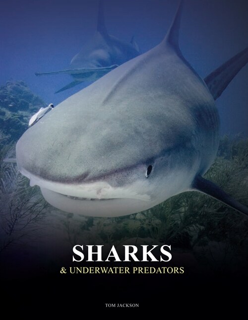 Sharks and Underwater Predators (Hardcover)
