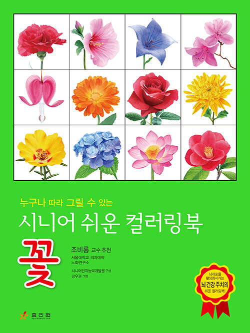 시니어 쉬운 컬러링북 : 꽃