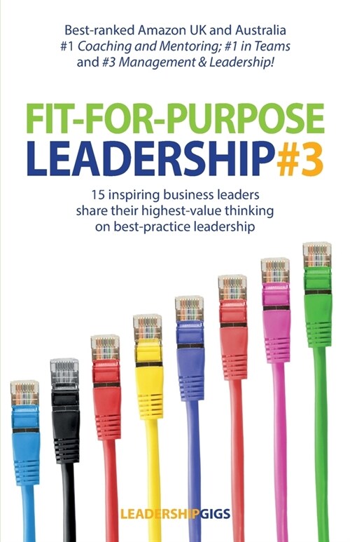 Fit For Purpose Leadership 3 (Paperback)