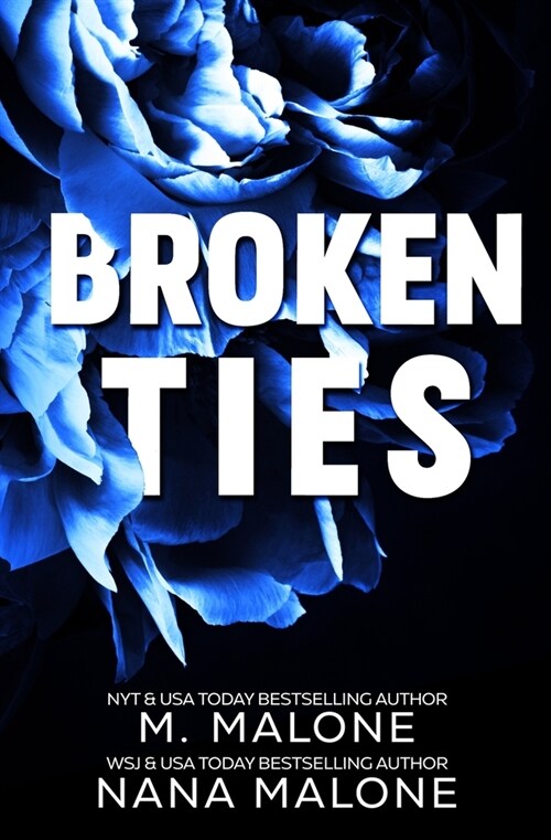 Broken Ties (Paperback)