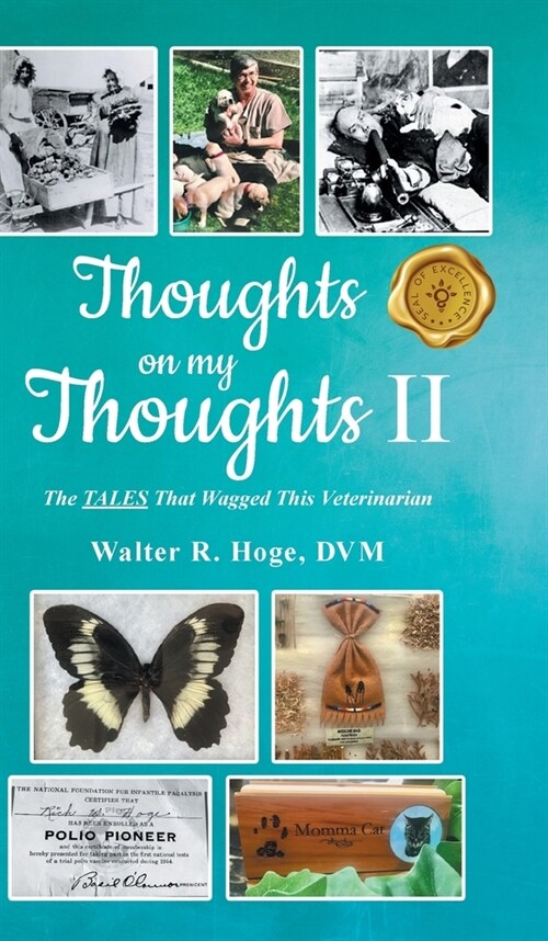 Thoughts on my Thoughts II (Hardcover)