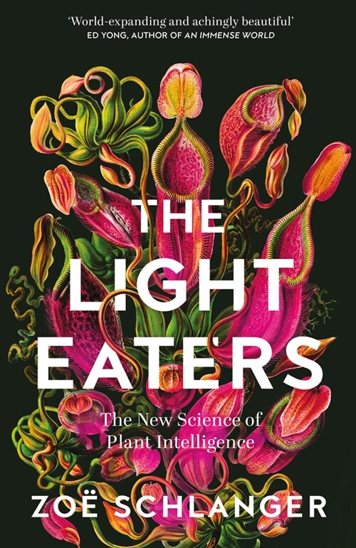 The Light Eaters : The New Science of Plant Intelligence (Hardcover)