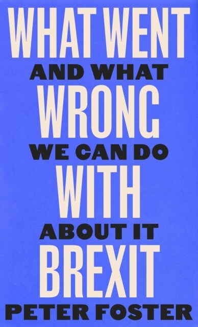 What Went Wrong With Brexit : And What We Can Do About It (Hardcover, Main)