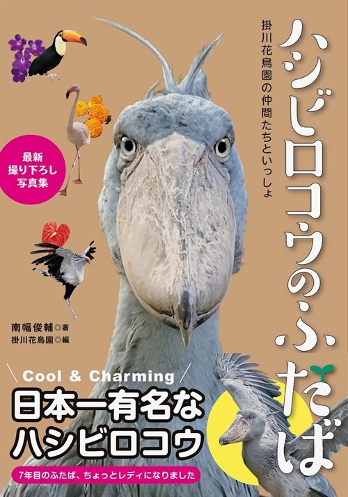 ハシビロコウのふたば～掛川花鳥園の仲間たちといっしょ～