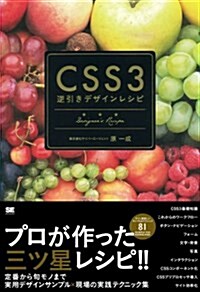 CSS3逆引きデザインレシピ (大型本)