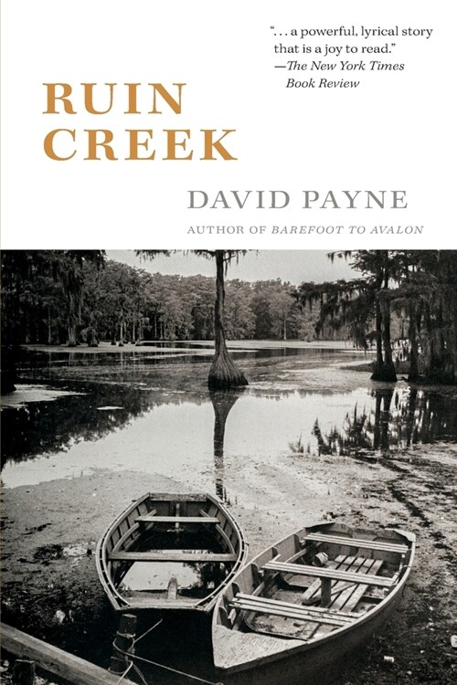 Ruin Creek (Paperback)