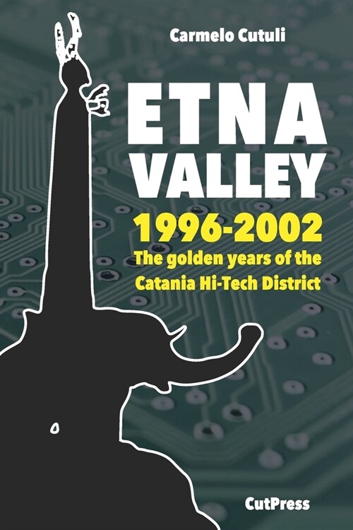 Etna Valley: The golden years of the Catania Hi-Tech District (1996-2002) (Paperback)