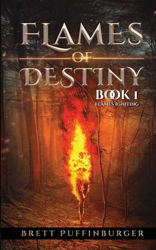 Flames of Destiny Book 1: Flames Igniting: Flames Igniting (Paperback)