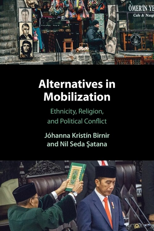 Alternatives in Mobilization : Ethnicity, Religion, and Political Conflict (Paperback)