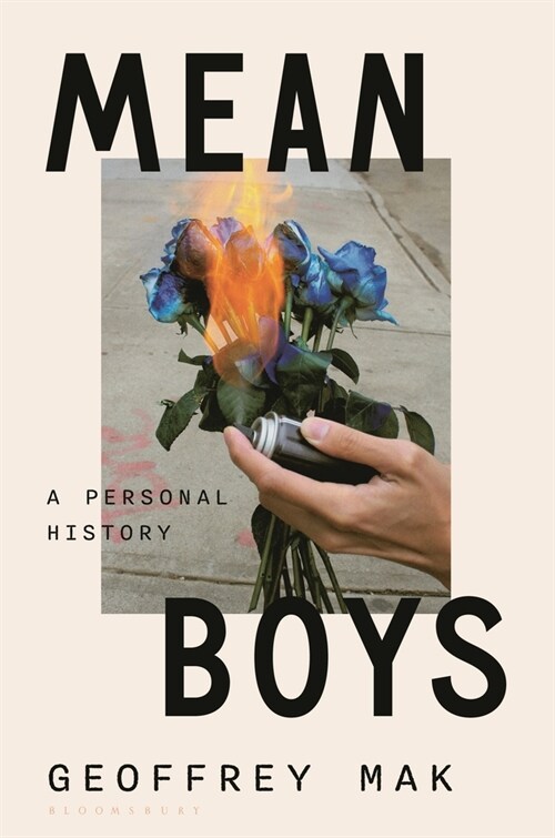 Mean Boys: A Personal History (Hardcover)