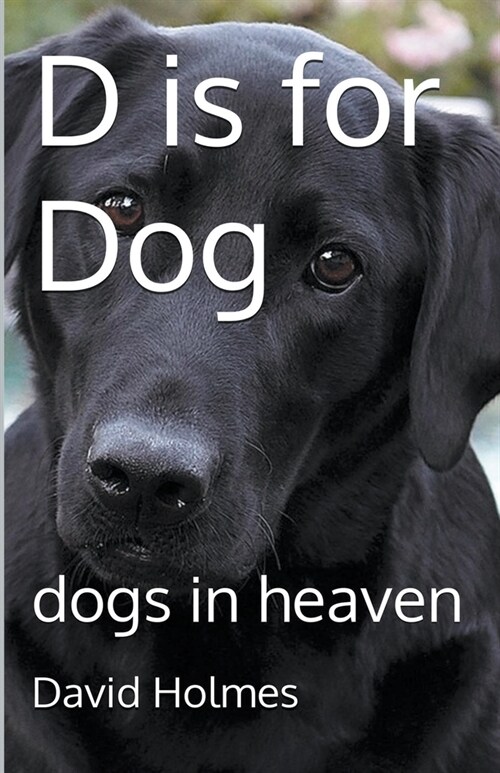D is for Dog: dogs in heaven (Paperback)