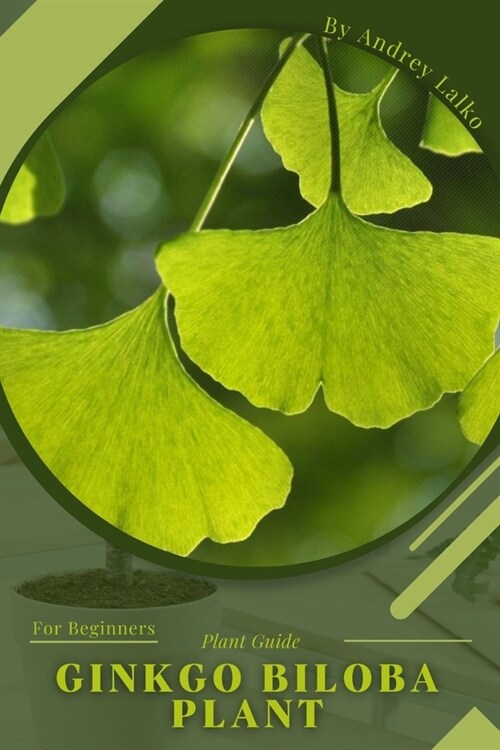 Ginkgo biloba plant: Plant Guide (Paperback)