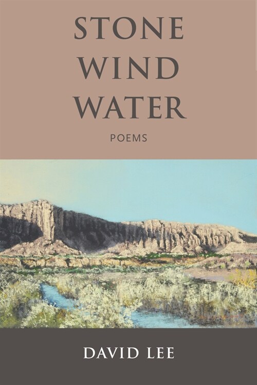 Stone Wind Water: Poems (Paperback)