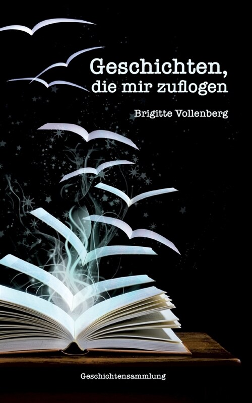 Geschichten, die mir zuflogen (Paperback)