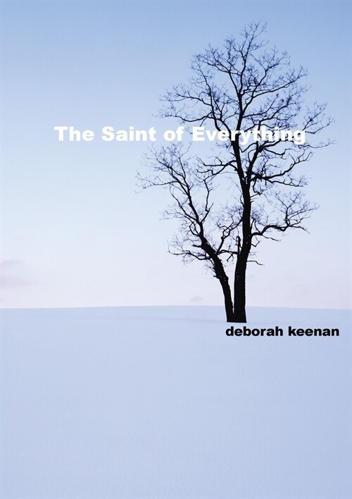 The Saint of Everything (Paperback)