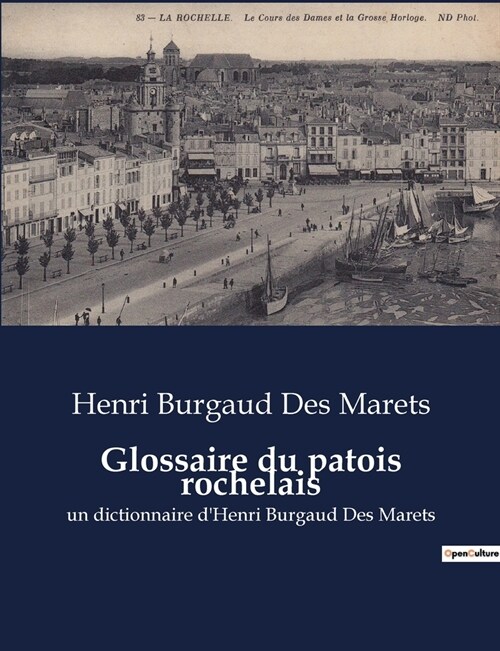 Glossaire du patois rochelais: un dictionnaire dHenri Burgaud Des Marets (Paperback)