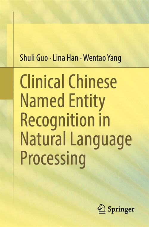 Clinical Chinese Named Entity Recognition in Natural Language Processing (Paperback, 2023)