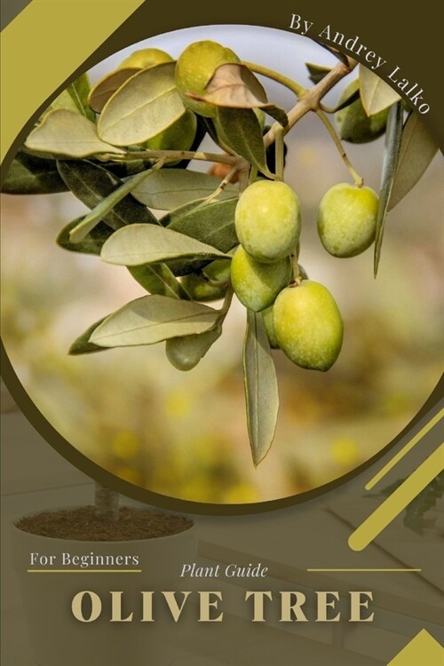 Olive Tree: Plant Guide (Paperback)