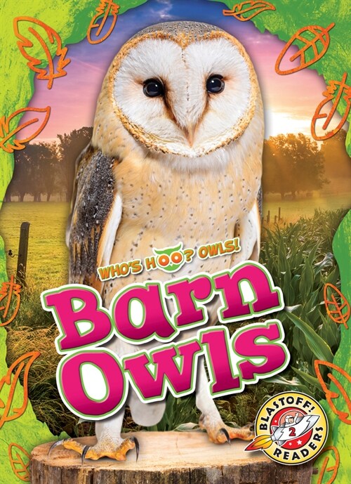 Barn Owls (Library Binding)