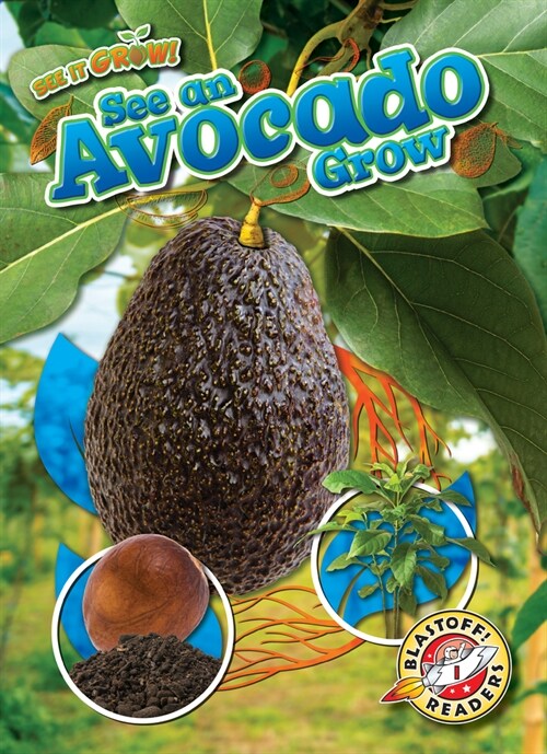 See an Avocado Grow (Library Binding)