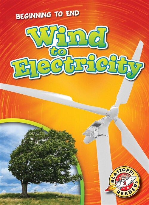Wind to Electricity (Library Binding)
