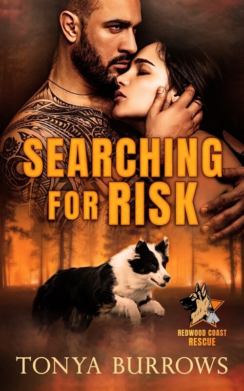 Searching for Risk (Paperback)