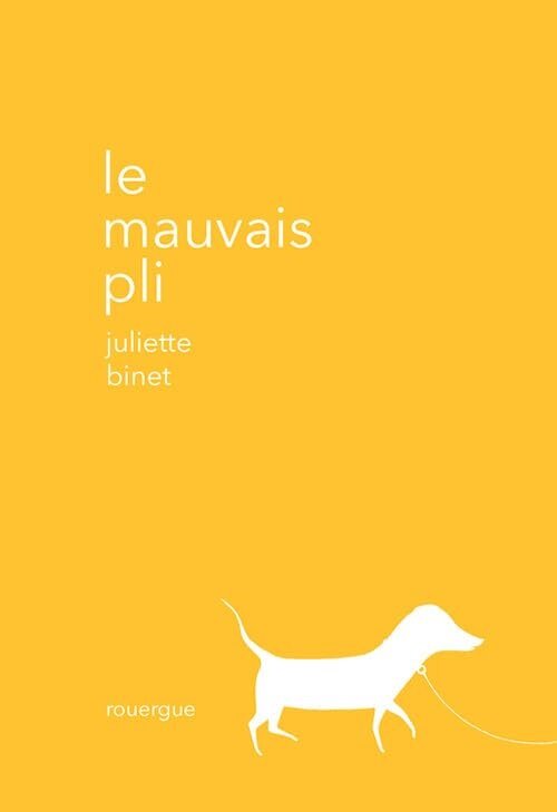 LE MAUVAIS PLI (Hardcover)