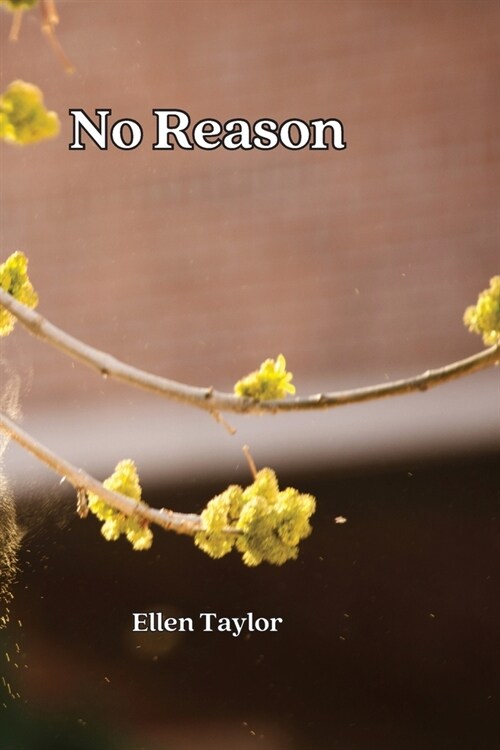 No Reason (Paperback)