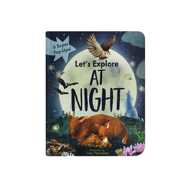 Lets Explore at Night (Board Book)